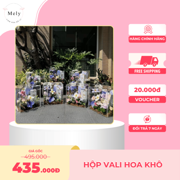 hộp vali hoa khô xanh